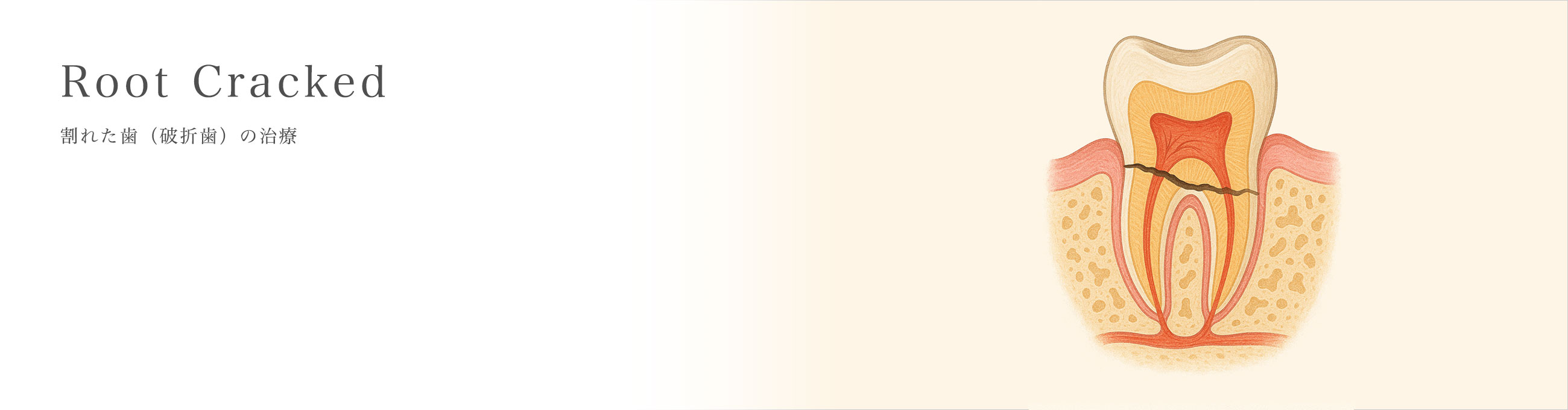 キービジュアル